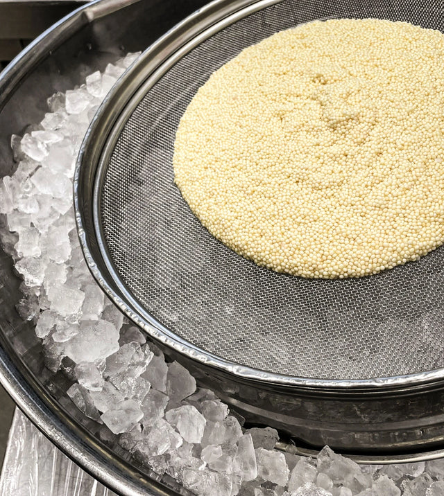 Royal Albino Caviar placed on ice to chill before being packaged in 50g Caviar Cans