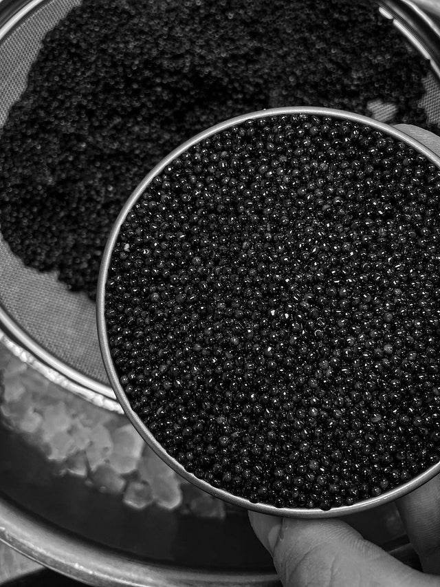 Open Caviar 250g tin right after production