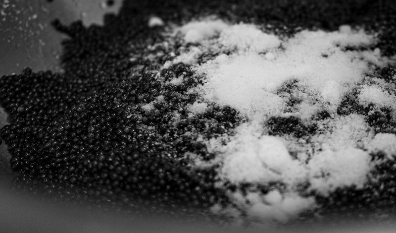 Caviar and Salt