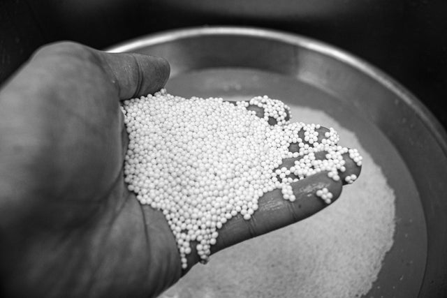A hand full of pure white Royal Albino Caviar being washed in water from the Austrian Alps