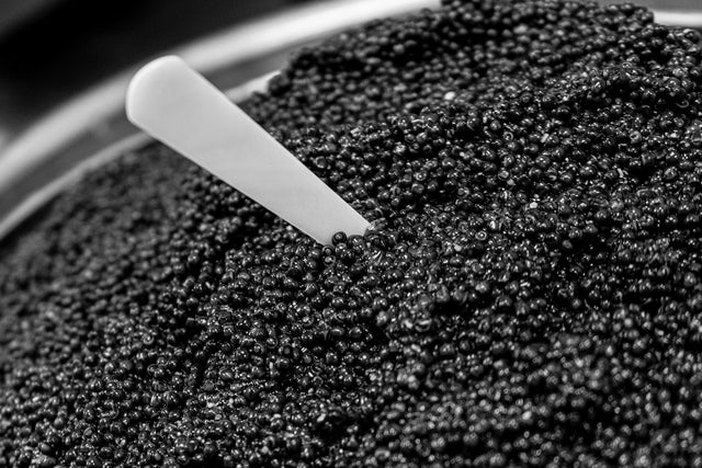 A pile of deep black Imperial Baerii Caviar ready for production with a Mother of Pearl spoon