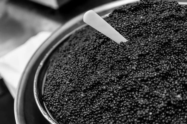 A pile of deep black Imperial Baerii Caviar ready for production with a Mother of Pearl spoon