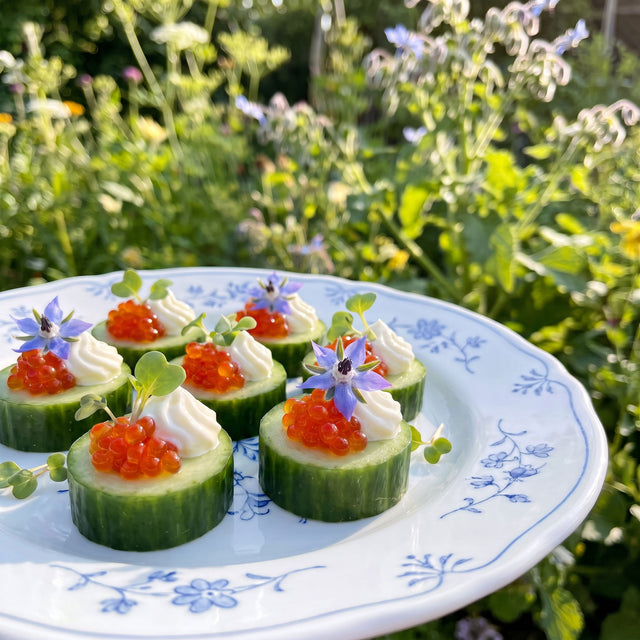 Cucumber Bites with Caviar