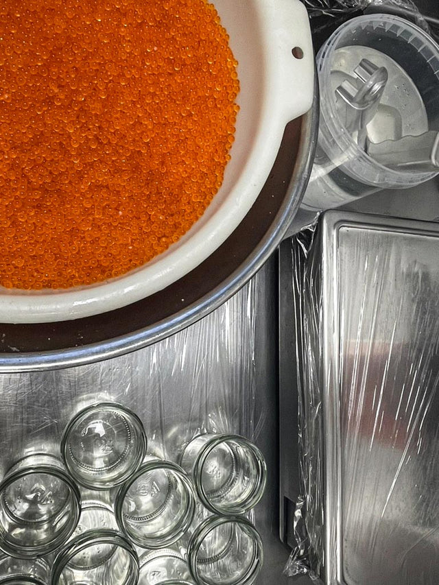 Bald verfügbar: Lachsforellen Kaviar – erschwinglicher Luxus für den täglichen Genuss!