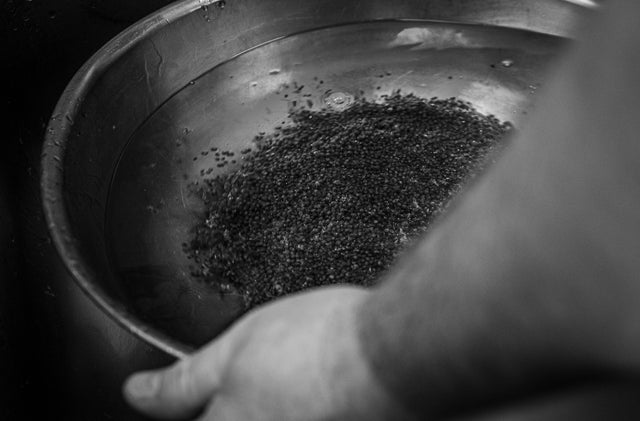 Caviar Produciton