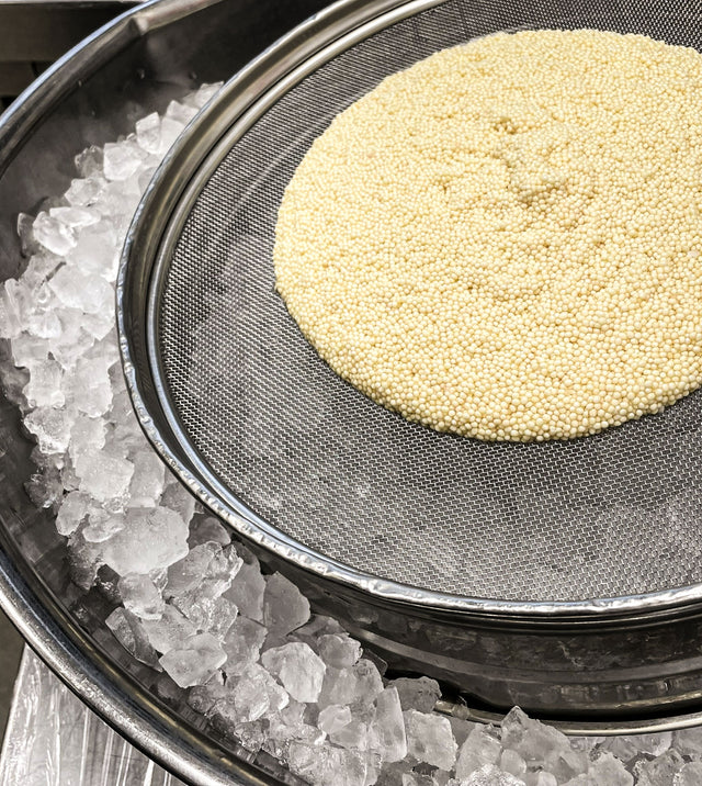 Albino Caviar on Ice