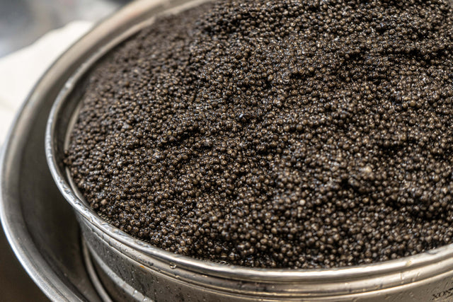 A Pile of Imperial Baerii Sturgeon Caviar