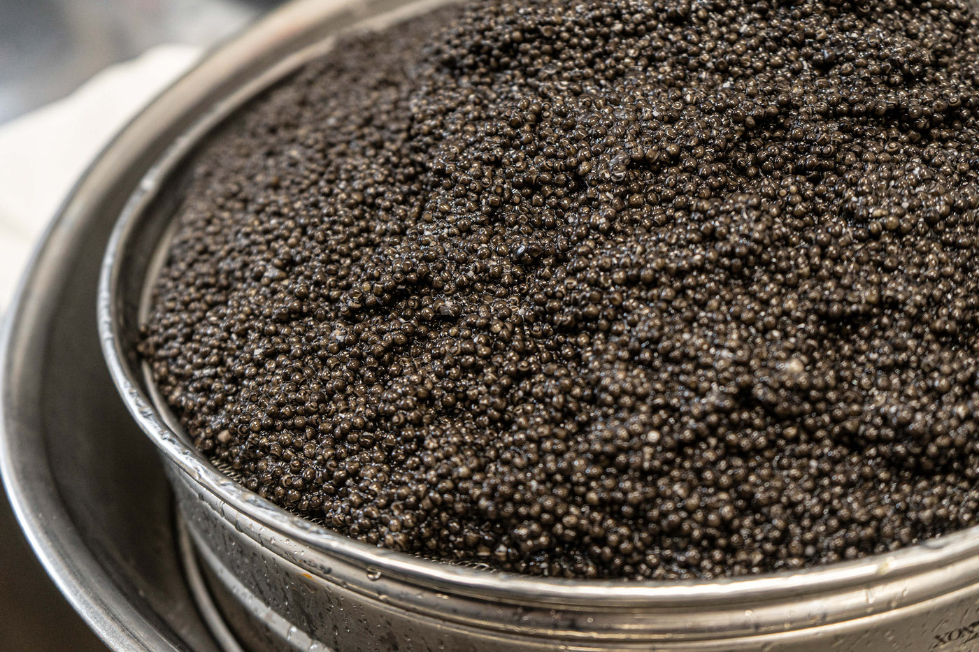 A pile of fresh, chocolate brown Imperial Baerii Caviar ready to be packaged