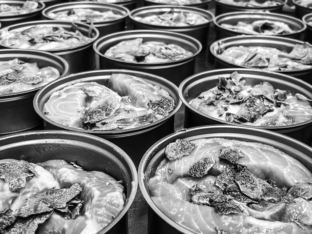 Premium Sturgeon Filets in Tins covered with Piemont Truffle ready to be sealed 