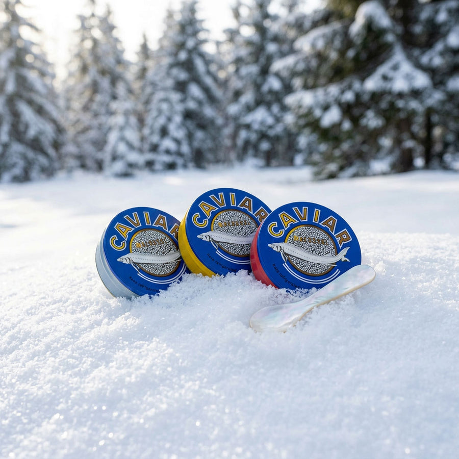 Three caviar tins and a mother-of-pearl spoon bedded in fresh snow in front of a snowy spruce forest